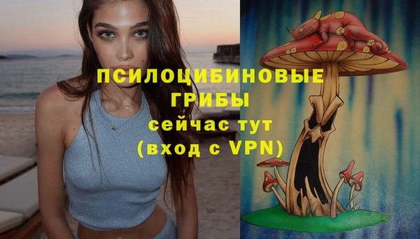 марки lsd Зеленодольск