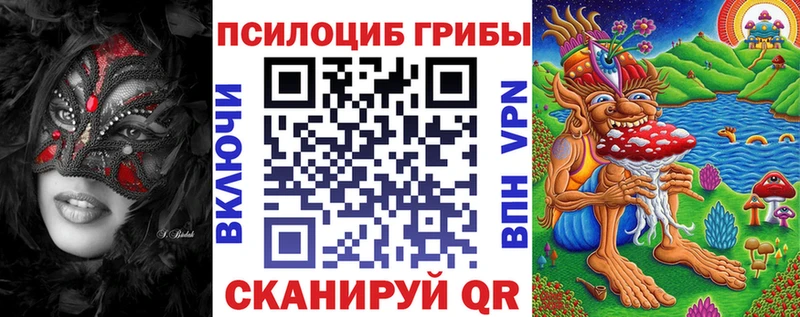 Купить где  Дюртюли  Галлюциногенные грибы Psilocybe 